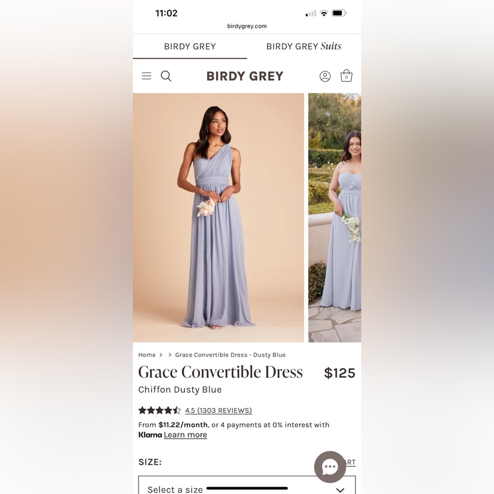 Birdy Grey Grace Dress in Dusty Blue
